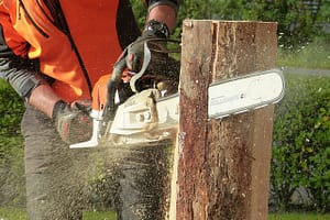tree service
