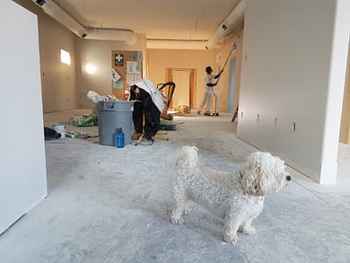 a white dog standing indoors