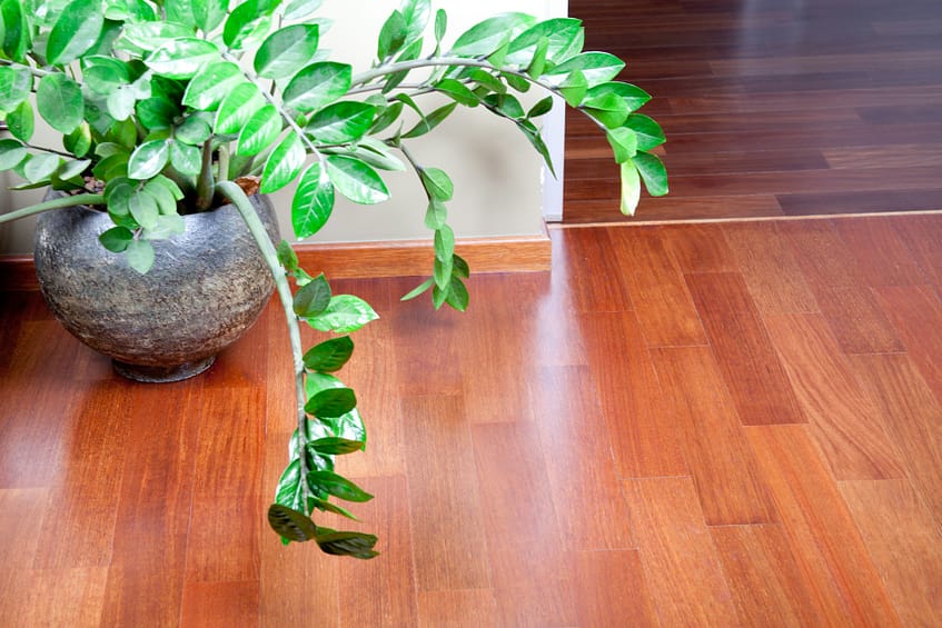 floor