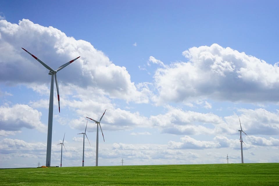 wind farm